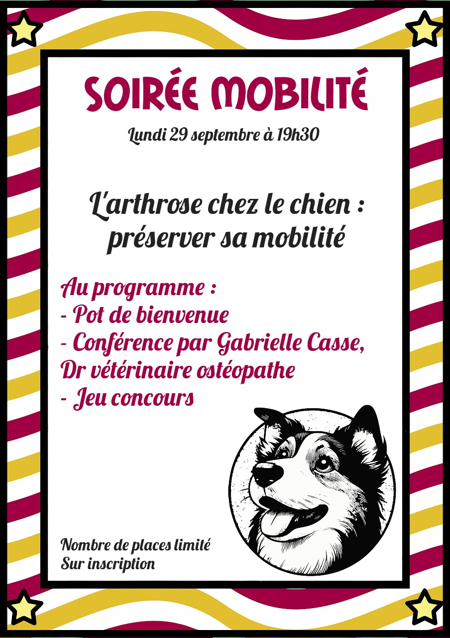 Soirée mobilité