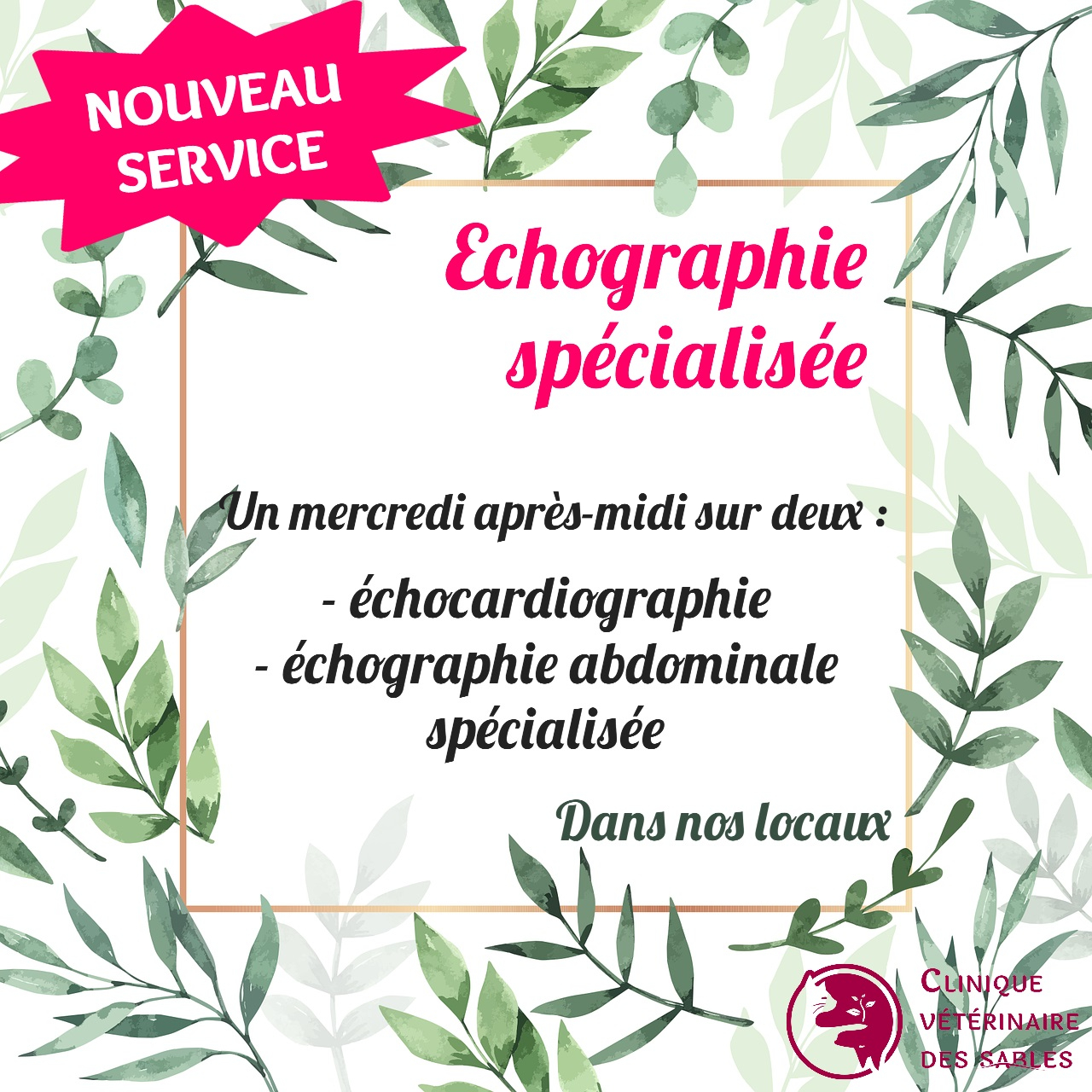 Nouveau service d'échographie